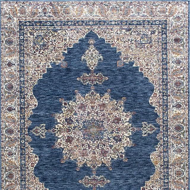 Payas Blue/Multi 5' X 7' Area Rug image