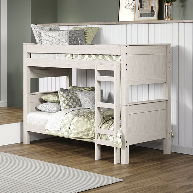 Albani Bunk Bed image